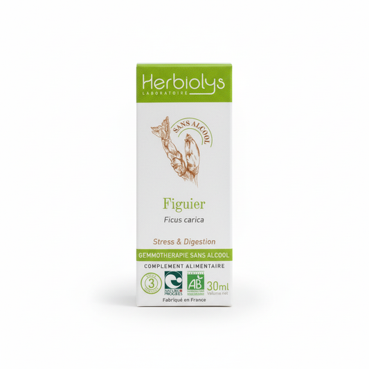 Figuier sans alcool 30ml
